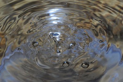 Goutte 2_4328645782_l.jpg